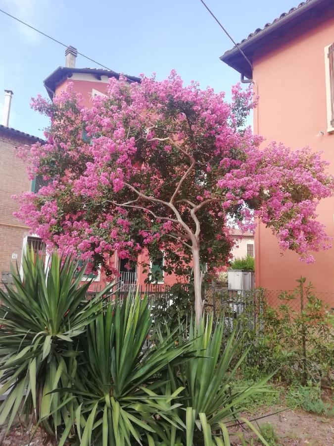 Grigio Perla Panigale, Villetta Con Giardino E Parcheggio Privato Fino A Tre Posti Auto - Un Oasi Di Tranqullita بولونيا المظهر الخارجي الصورة