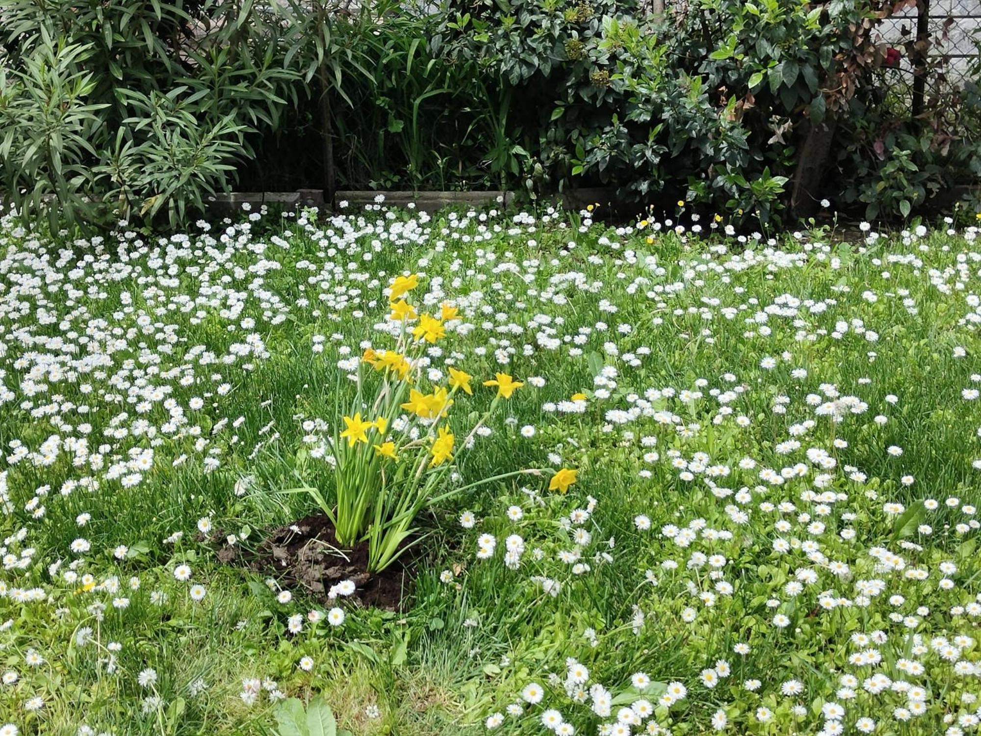 Grigio Perla Panigale, Villetta Con Giardino E Parcheggio Privato Fino A Tre Posti Auto - Un Oasi Di Tranqullita بولونيا المظهر الخارجي الصورة